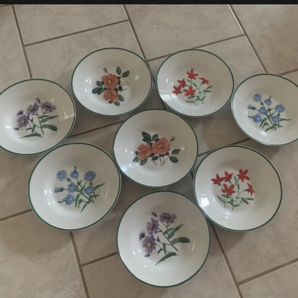 Set of 8 National Wildlife Federation Floral flowers 10-7/8" Dinner Plates